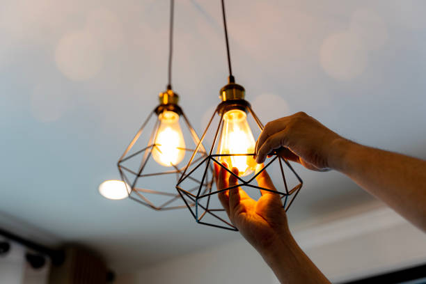 Best Outdoor Lighting Installation  in Viroqua, WI