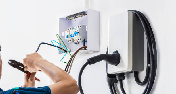 Best Local Electrician Companies  in Viroqua, WI